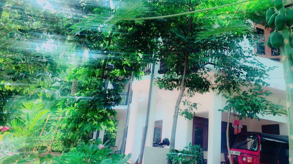 Mount Nature Villa Hikkaduwa Exterior foto