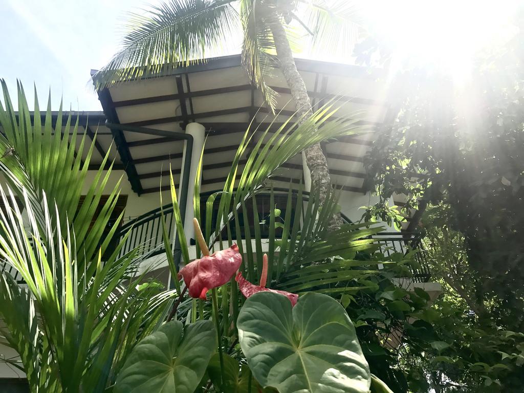 Mount Nature Villa Hikkaduwa Zimmer foto